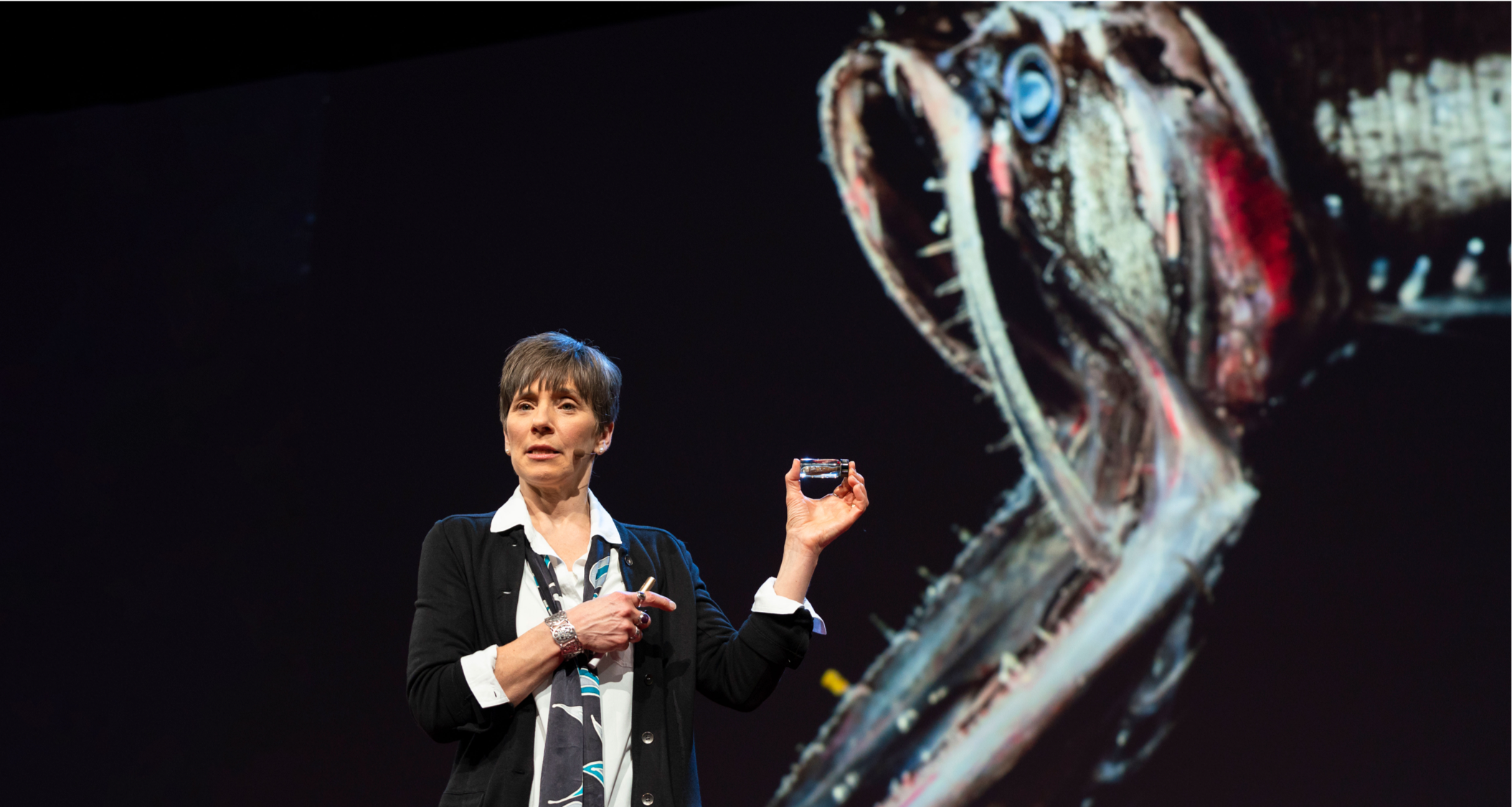 Projected on the TED stage behind WHOI oceanographer Heidi Sosik are the gaping jaws of a bristlemouth, a fish that dwells in the twilight zone. Bristlemouths may look terrifying, but a dozen of these tiny creatures could fit in the vial she holds in her left hand. Photo by Bret Hartman, TED.