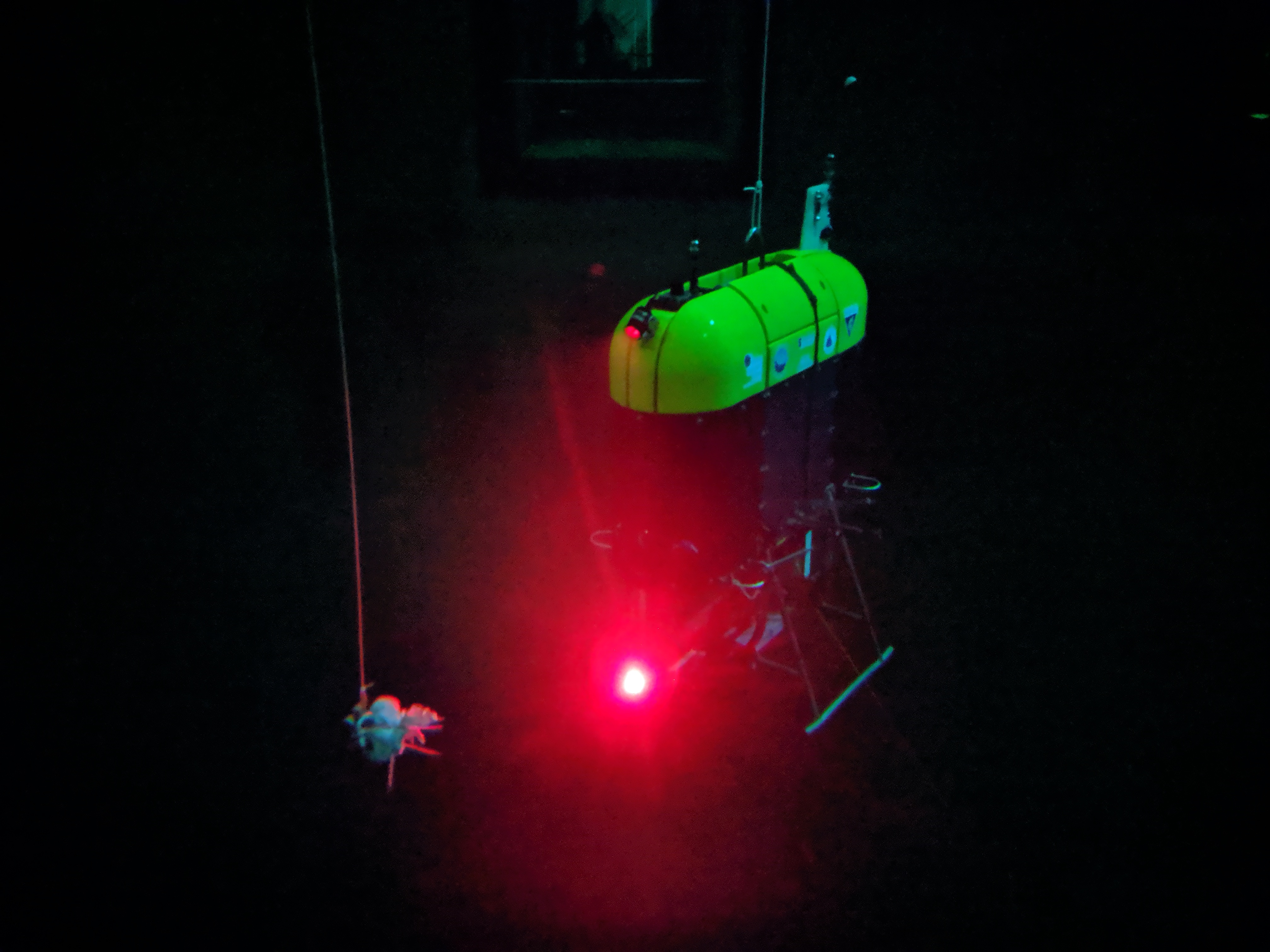 Mesobot using red light in a test tank