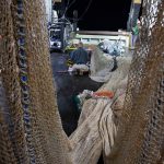 Hauling the trawl