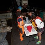 Sorting the catch