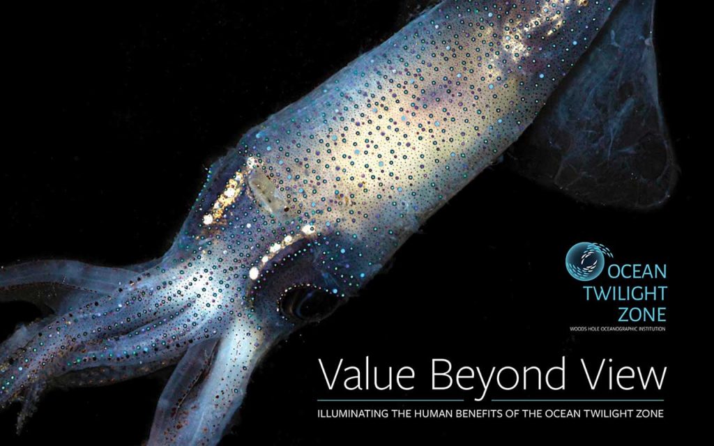 Value beyond view cover