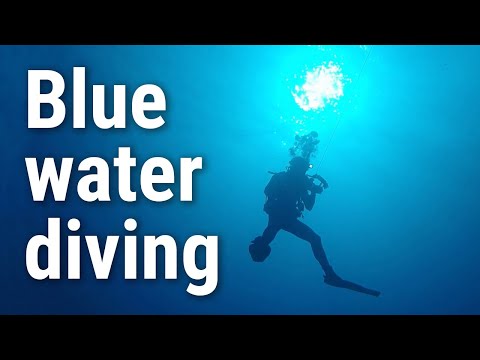 Open ocean diving observations
