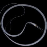 Slender snipe eel juvenile (Nemichthys-scolopaceus)
