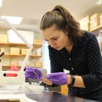 Scientists bend over lab table while handling specimen with tweezers.