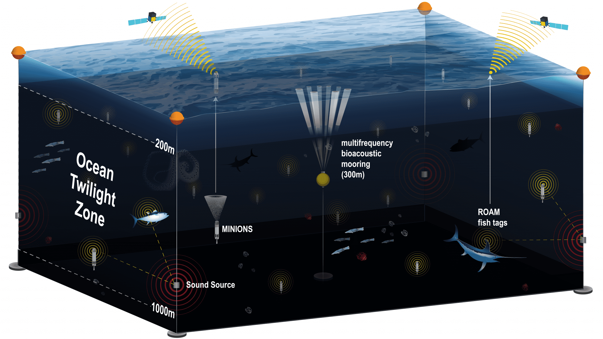 Scientists Are Developing A New Observation Network For The Ocean’s ‘Twilight Zone’