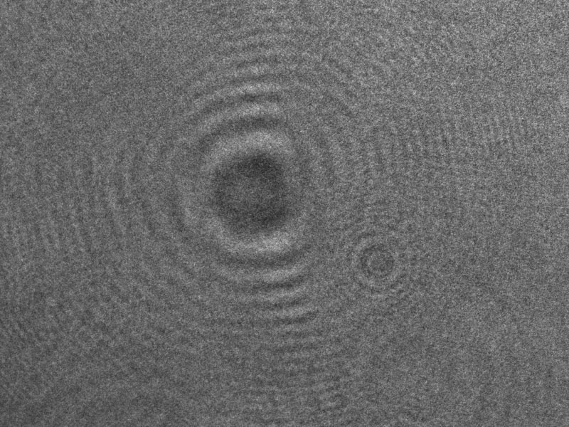 A raw image taken by <em>Deep-See</em>'s holographic camera, showing diffraction patterns around an object. 
