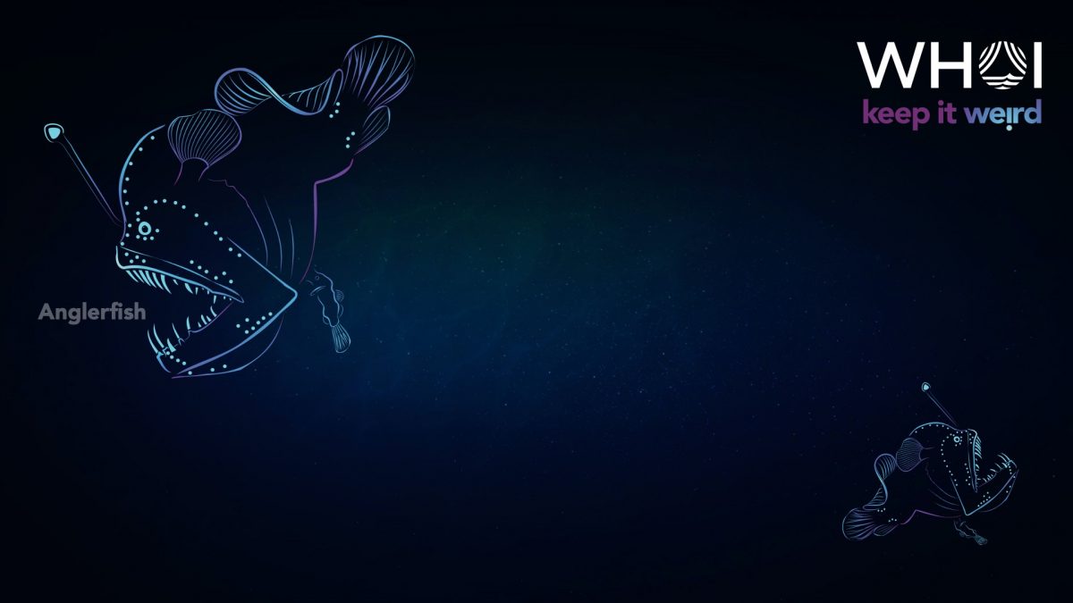 Weird Effect Zoom Background