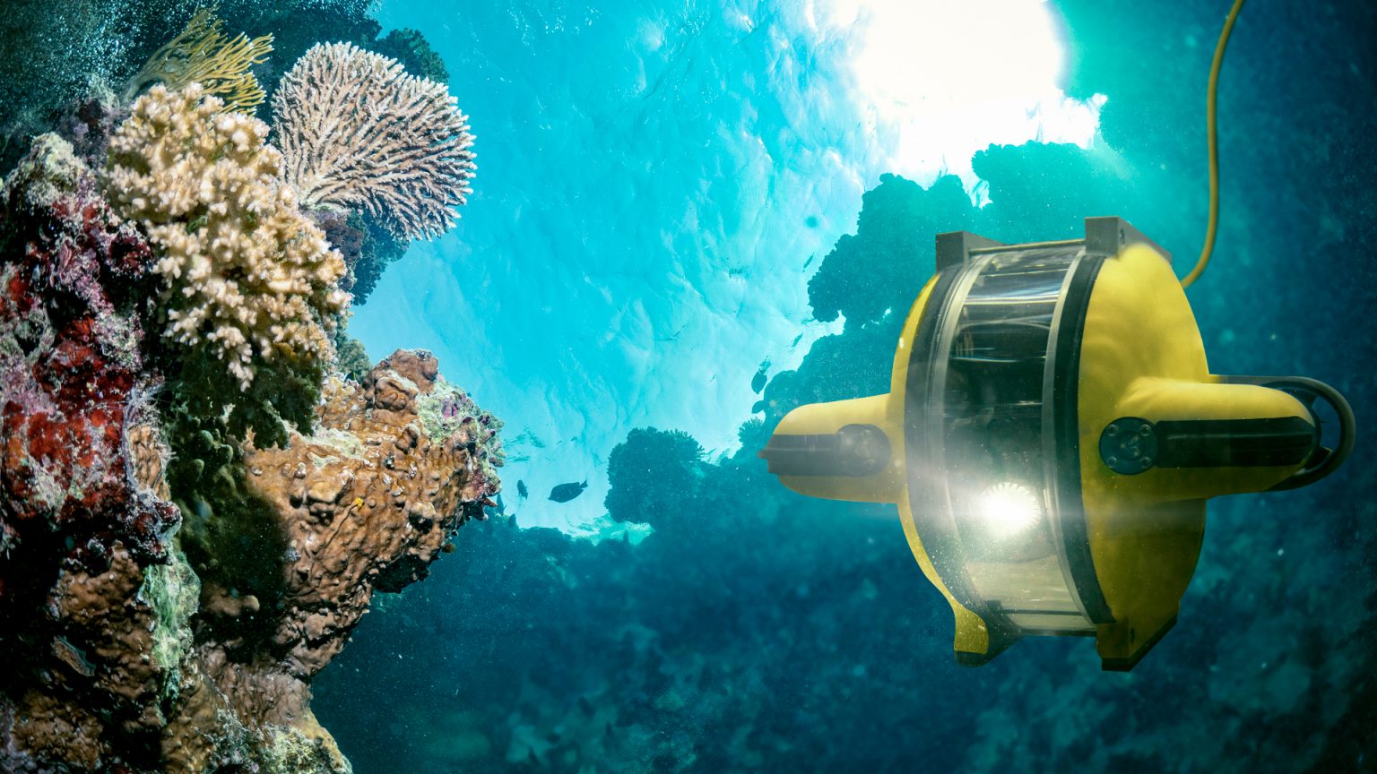 Investigating the mid-ocean twilight zone with underwater robot technology