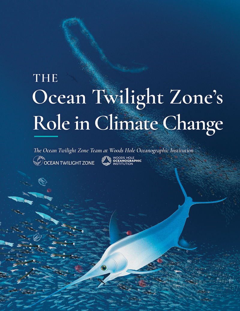 The Ocean Twilight Zones Role in Climate Change