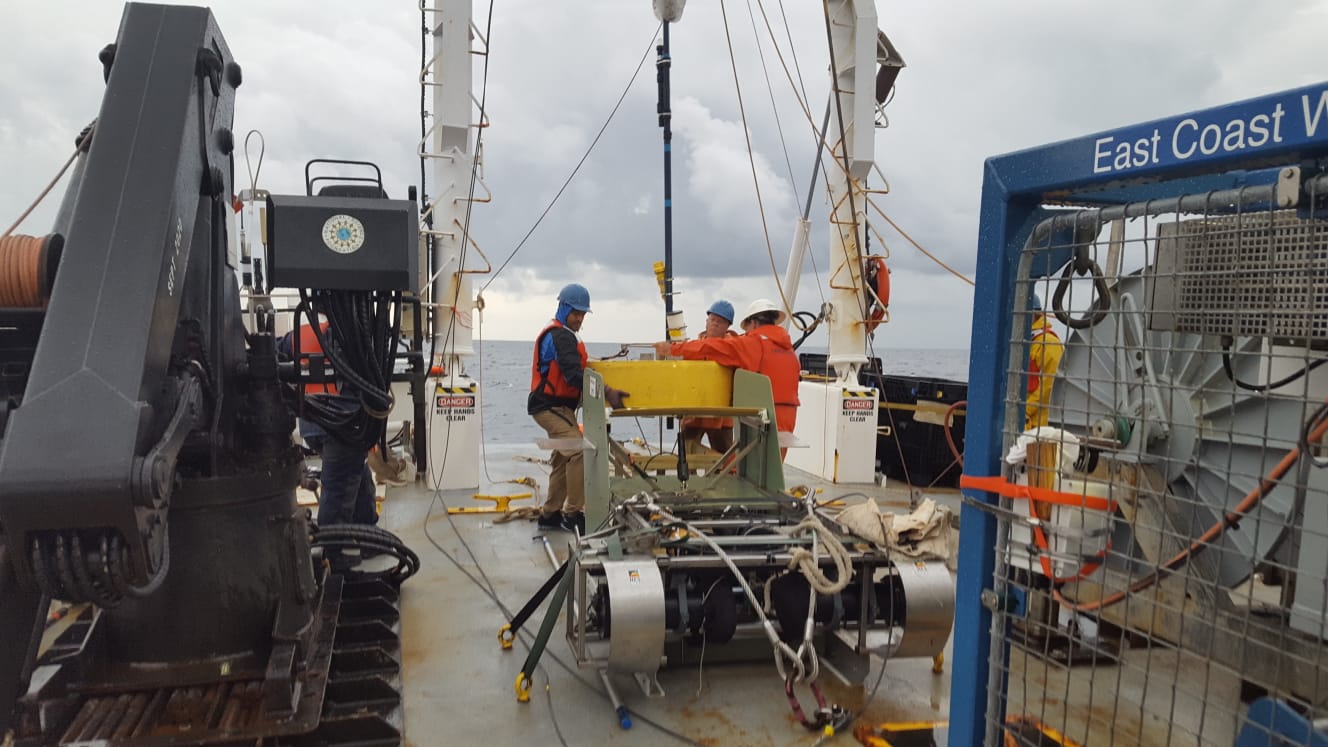 The surface tether trap returns to the deck of R/V Endeavor, where the Stingray tow sled awaits its turn to get wet. Stingray carries the In-situ Ichthyoplankton Imaging System (ISIIS), a “shadowgraph” camera system captures detailed images of zooplankton (tiny fragile animals), plant-like phytoplankton, jellies, and small fish. Stingray also holds sensors that measure depth, oxygen, salinity, temperature, and other water characteristics. Data collected during Stingray tows are essential for understanding how plankton fit into the ecosystems of the twilight zone and the ocean as a whole. (Photo by Heidi Sosik © Woods Hole Oceanograhic Institution)