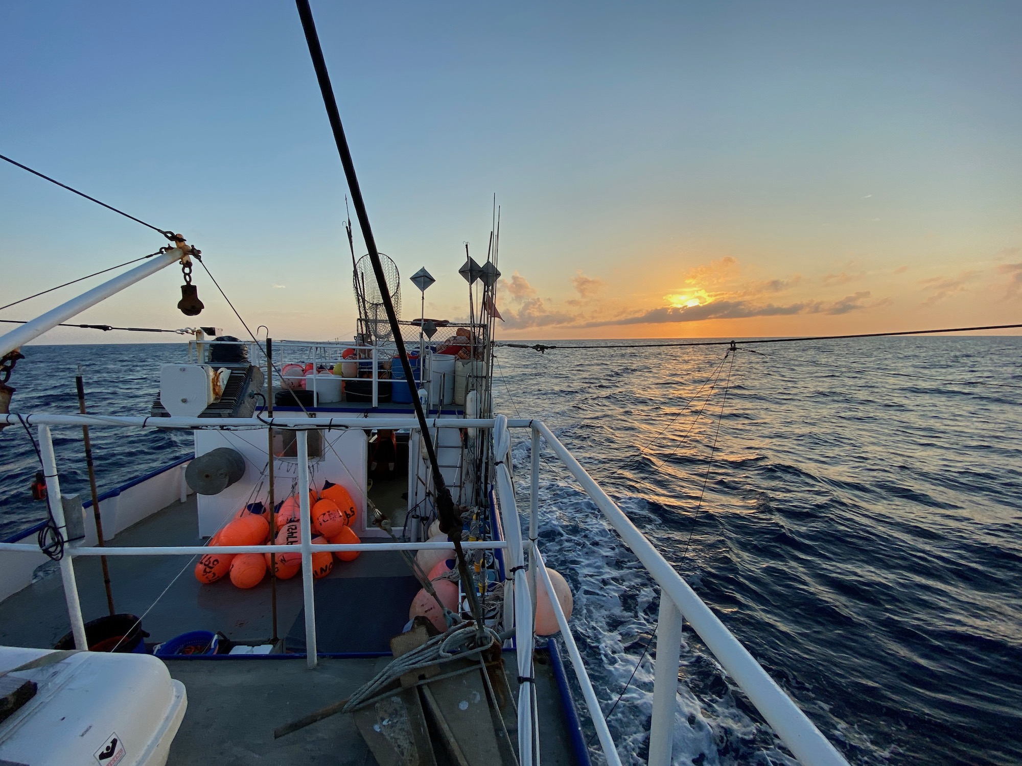 Sunrise view from the deck of F/V Monica, a commercial longliner that Ocean Twilight Zone project scientists used to study large marine predators as part of a multi-vessel research cruise in August 2022. (Photo by Camrin Braun, © Woods Hole Oceanographic Institution) 