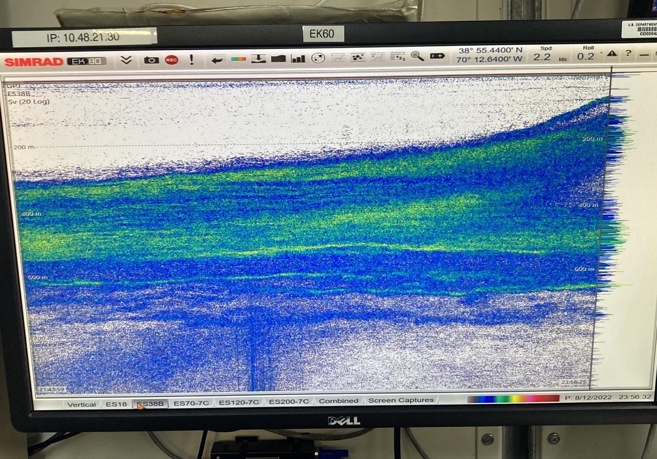 By 7pm, the multibeam sonar (at the same frequency) shows the signs of vertical migration. The green bands are located at much closer to the surface, just as the sun is about to set. (Photo by Joel Llopiz 
© Woods Hole Oceanographic Institution)