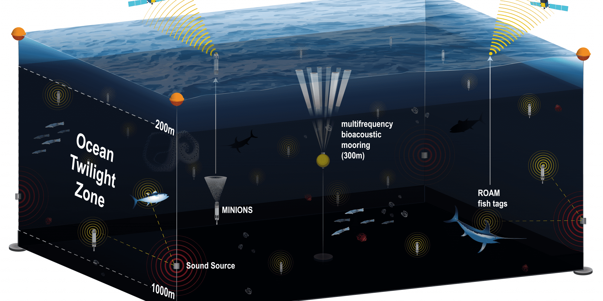 A new observation network will give scientists a comprehensive view of the twilight zone, or mesopelagic. It will use several different technologies including moored buoys equipped with acoustic survey systems; a swarm of optical and geochemical sensors; and new fish-tracking tags that will continuously record the position of major predators such as sharks and tuna. All of these components will connect to the network’s buoys using acoustic signals underwater and an Iridium satellite link at the surface.