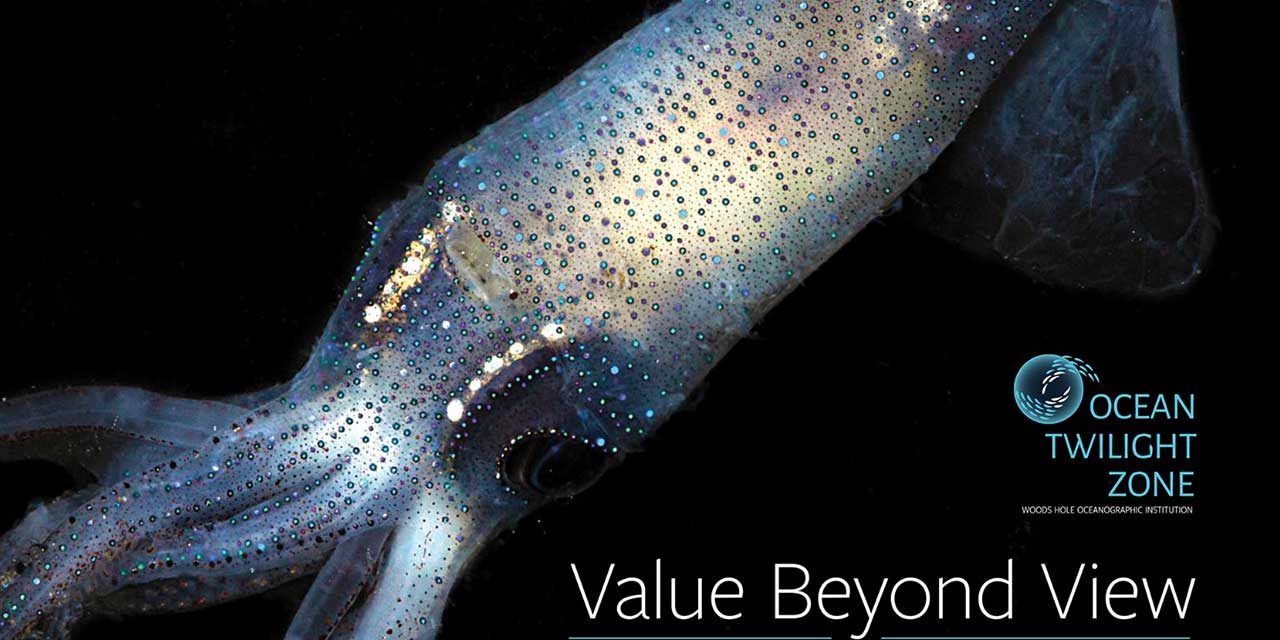 Value beyond view cover