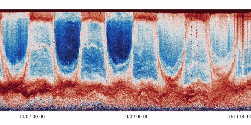 Acoustic data of migration through the twilight zone taken over several days. The large "U"-shaped lines represent diel vertical migration; the smaller red ripples below show animals that stay permanently in the twilight zone. Due to internal waves, their depth and location fluctuates up and down - sometimes moving above the migrating animals that have returned to the deep water.