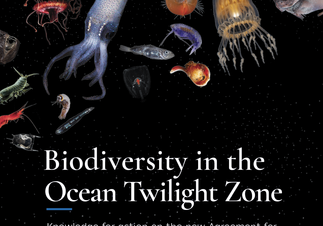 otz biodiversity report