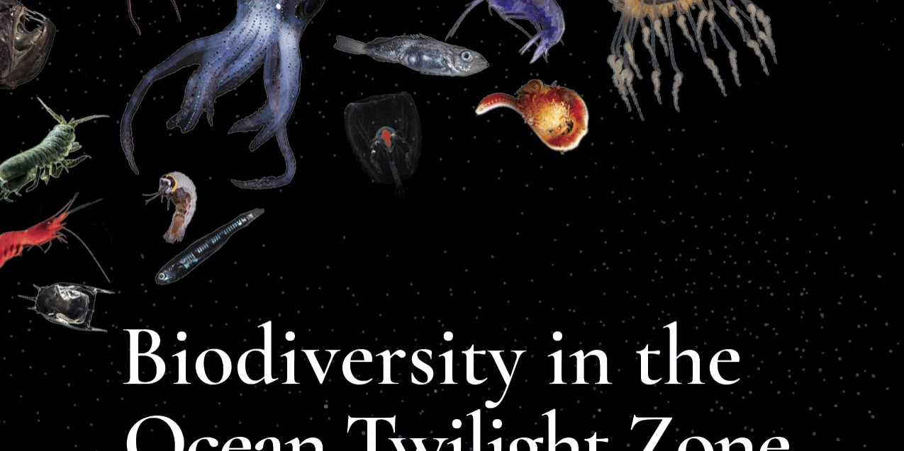 otz biodiversity report
